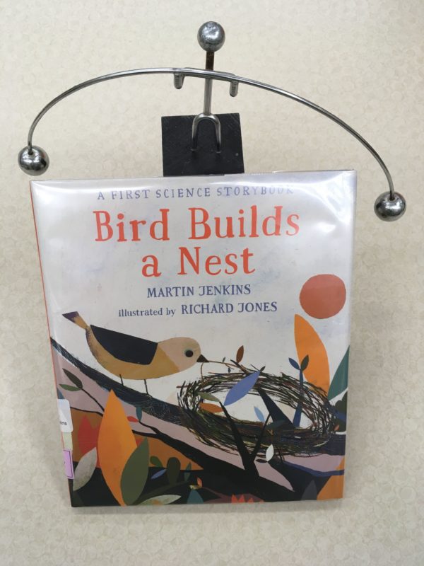 Bird Builds a Nest Beginner STEM PlainfieldGuilford Township Public Library
