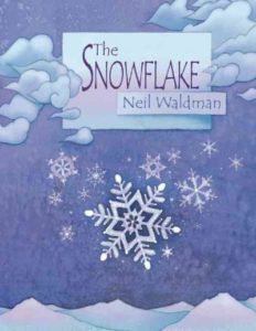 Book cover: The Snowflake by Waldman