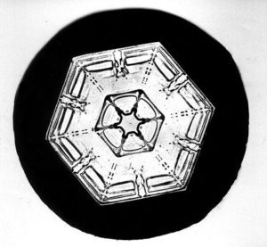 Snowflake Bentley snowflake photo