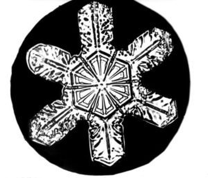 Another Snowflake Bentley snowflake photo
