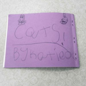 Purple Homemade Cats book