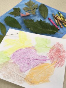 crayon rubbing showing leaf texture