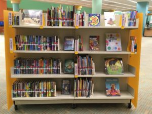 New Book Shelves